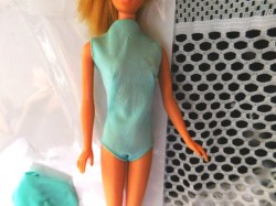 barbie blue swimsuit a